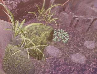 Design your terrarium